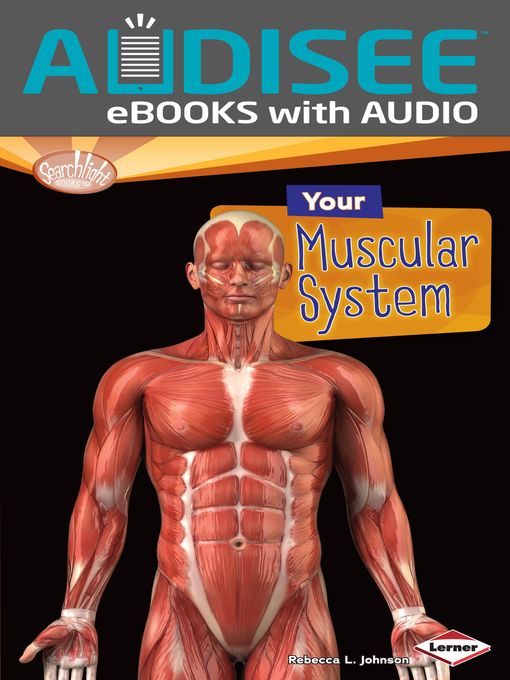 Title details for Your Muscular System by Rebecca L. Johnson - Available